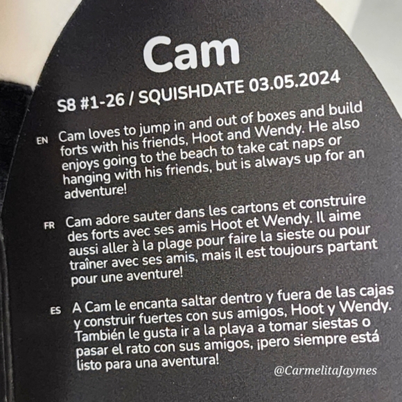 🎄 CAM 😺 Select Serie Gingerbread Calico Cat Season of Squish 2024 Squishmallow - Picture 4 of 8